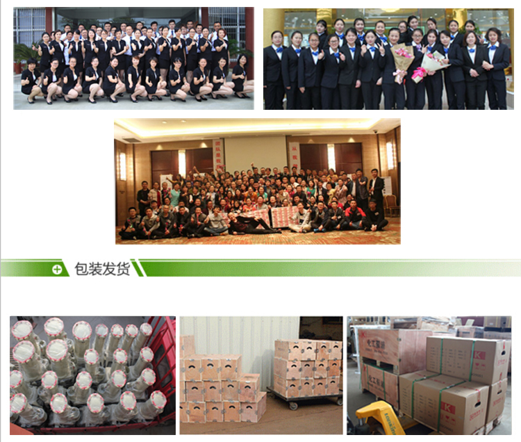 耐腐蝕塑料離心泵廠家團(tuán)隊圖片